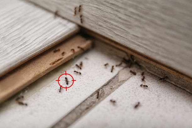 Pest Control Cost in Butte, MT